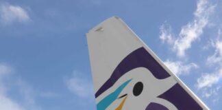 Arajet permite que niños y jóvenes vuelen gratis