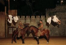 PANACA RD oficializa su apertura y celebra la Navidad con acceso libre hasta el 31 de enero