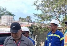 Edeeste aclara muerte de yegua en Sabana Grande de Boyá se debió a conexión ilegal