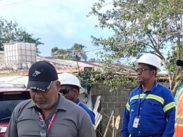 Edeeste aclara muerte de yegua en Sabana Grande de Boyá se debió a conexión ilegal