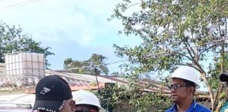 Edeeste aclara muerte de yegua en Sabana Grande de Boyá se debió a conexión ilegal