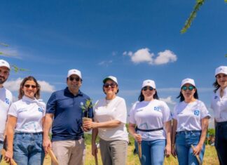 Banco Popular siembra 4,000 árboles en San José de las Matas en su segunda jornada de reforestación de 2026