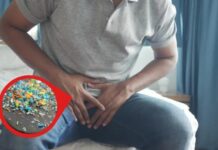 *Microplásticos en el sistema reproductivo: Reto en salud masculina* Por: Ramón López