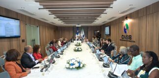 *CNSS autoriza la distribución de más de RD$6,000 millones a favor de profesores con doble cotización*