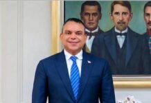 El resurgir del SNS como el ave Fénix