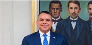 El resurgir del SNS como el ave Fénix