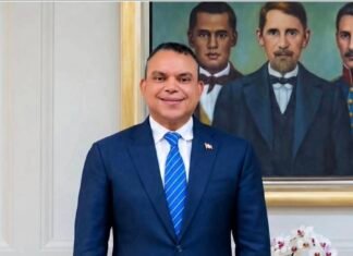 El resurgir del SNS como el ave Fénix